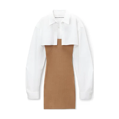 (Women) Alexander Wang FW24 Minimalist Layered Long Sleeve Short Dress Beige - 1KC3246062219A