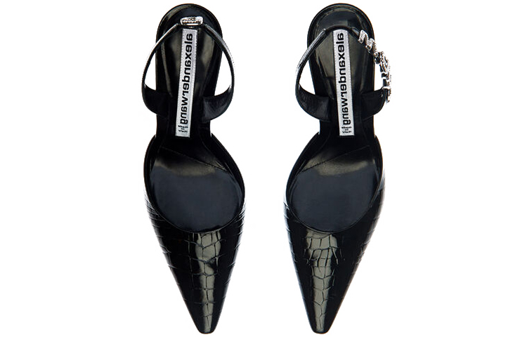 Buy (W) 亚历山大·王格蕾丝“压纹高跟黑色” 30C120P069