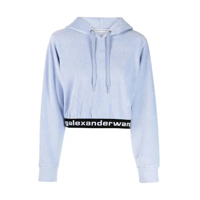 (Women) Alexander Wang Oversized Logo Hoodie Women’s Mist Blue 4CC1211197-454