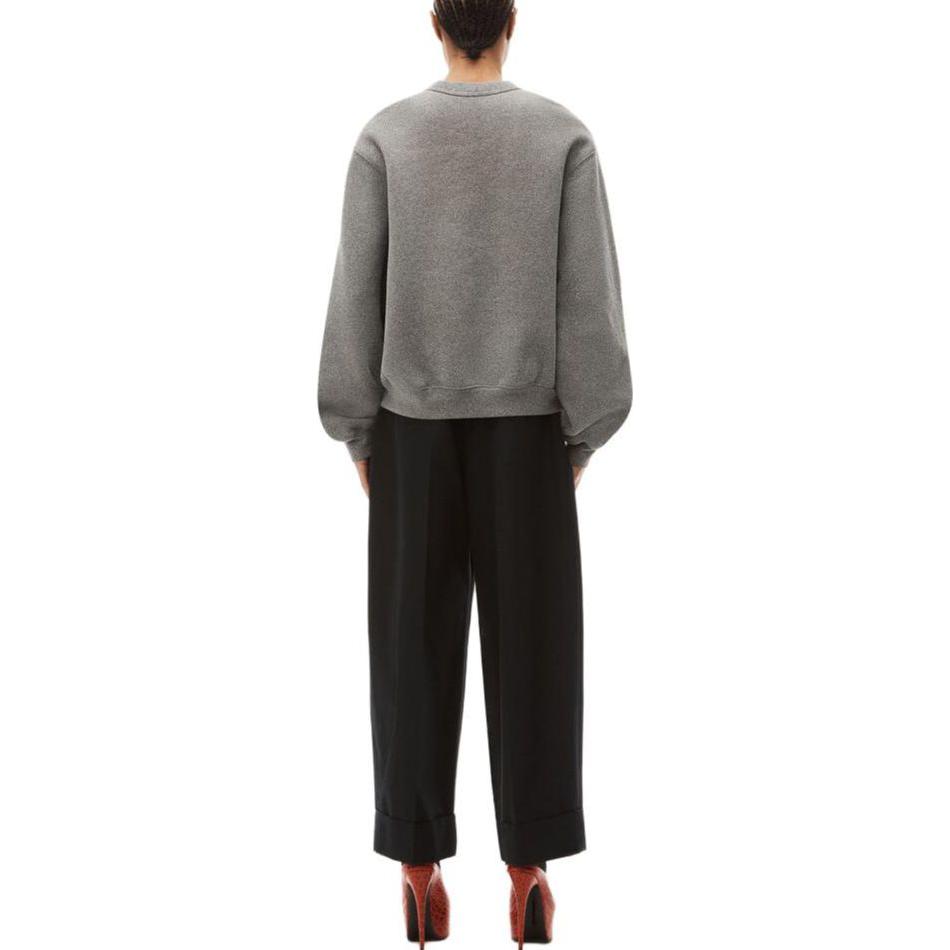 Shop (Women) Alexander Wang Shiny Series Oversized Grey Crewneck Sweatshirt for Women. 4CC3231658-079