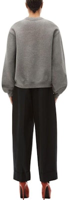 (Women) Alexander Wang Shiny Series Oversized Grey Crewneck Sweatshirt for Women. 4CC3231658-079 Shop (Women) Alexander Wang Shiny Series Oversized Grey Crewneck Sweatshirt for Women. 4CC3231658-079