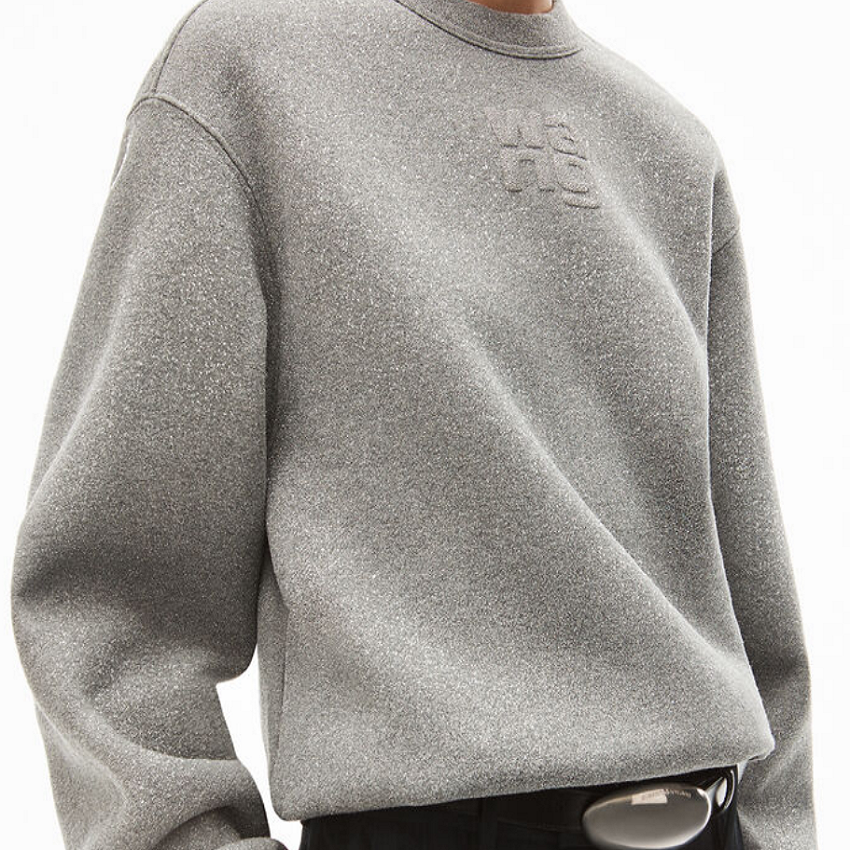 Purchase (Women) Alexander Wang Shiny Series Oversized Grey Crewneck Sweatshirt for Women. 4CC3231658-079