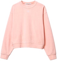 (Women) Alexander Wang SS21 Rhinestone Logo Pink Sweatshirt Long Sleeve. 4CC3211265-691 (Women) Alexander Wang SS21 Rhinestone Logo Pink Sweatshirt Long Sleeve. 4CC3211265-691