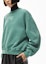 Purchase (Women) Alexander Wang SS22 Foam Logo Terry Pullover Sweatshirt - Collegiate Green 4CC3211258-303