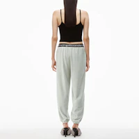 Shop (Women) Alexander Wang SS23 Logo Jogger Sweatpants Women’s - Ash Grey. 4CC1204024-344