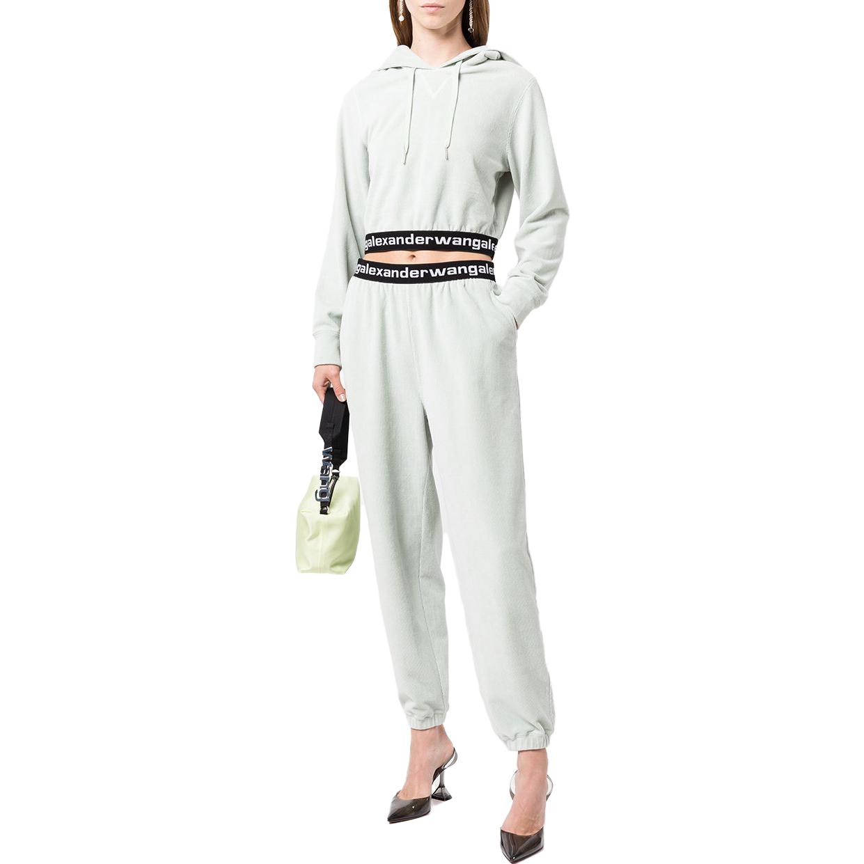 Purchase (Women) Alexander Wang SS23 Logo Jogger Sweatpants Women’s - Ash Grey. 4CC1204024-344