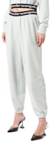 Sizing (Women) Alexander Wang SS23 Logo Jogger Sweatpants Women’s - Ash Grey. 4CC1204024-344