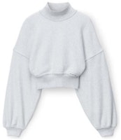 (Women) Alexander Wang SS24 Classic Terry High-Neck Cropped Long-Sleeve Sweatshirt Grey Women 4CC1241442-050 (Women) Alexander Wang SS24 Classic Terry High-Neck Cropped Long-Sleeve Sweatshirt Grey Women 4CC1241442-050