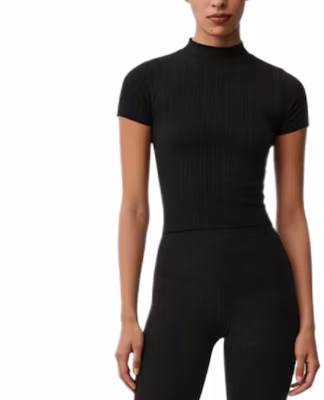 (Women) Alo Yoga Seamless High-Neck Breathable Short-Sleeve Regular Tee W1502R Buy (Women) Alo Yoga Seamless High-Neck Breathable Short-Sleeve Regular Tee W1502R