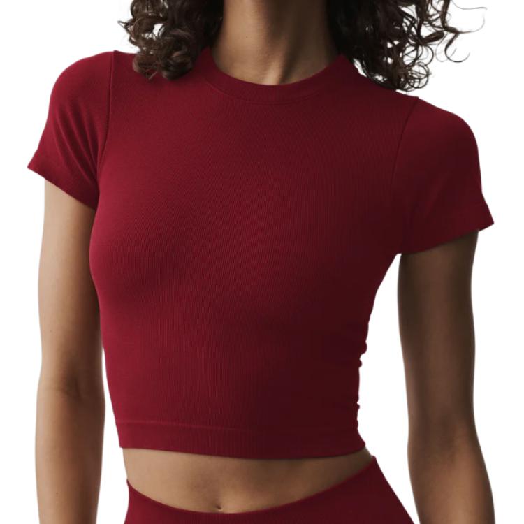 (Women) Alo Yoga Slim Fit Crew Neck Short Sleeve Regular T-Shirt W1475R