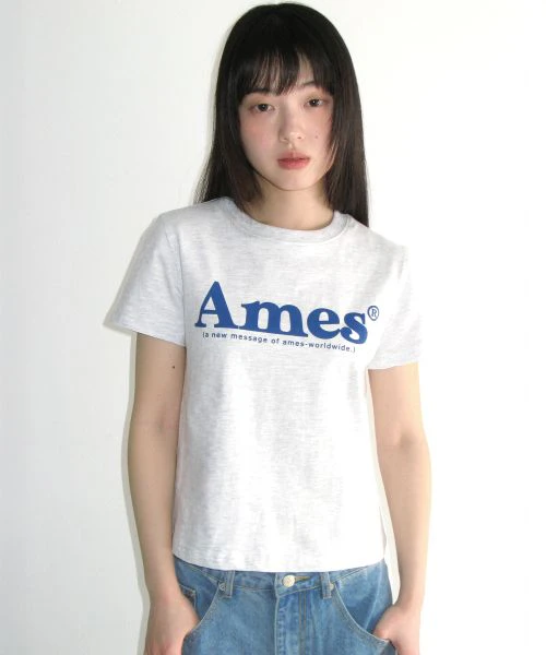women-ames-worldwide-basic-logo-t-shirt-grey-am-2-dmut-511-agr