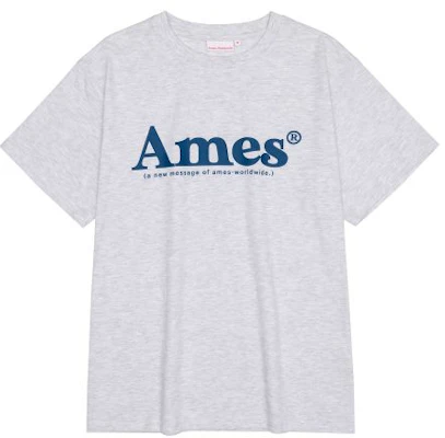 (Women) AMES WORLDWIDE Basic Logo T-Shirt Grey AM2DMUT511AGR 4