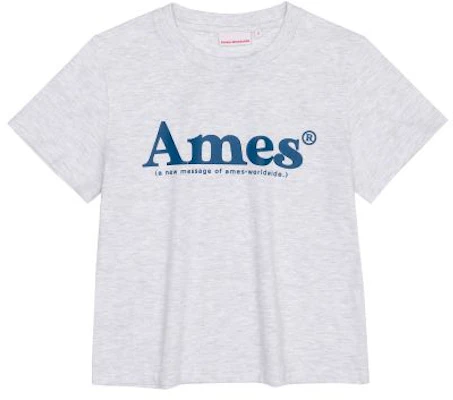 (Women) AMES WORLDWIDE Basic Logo T-Shirt Grey AM2DMUT511AGR 5