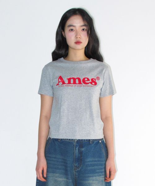 Shop (Women) AMES WORLDWIDE Basic Logo Tee Grey AM2EMUT510AGR