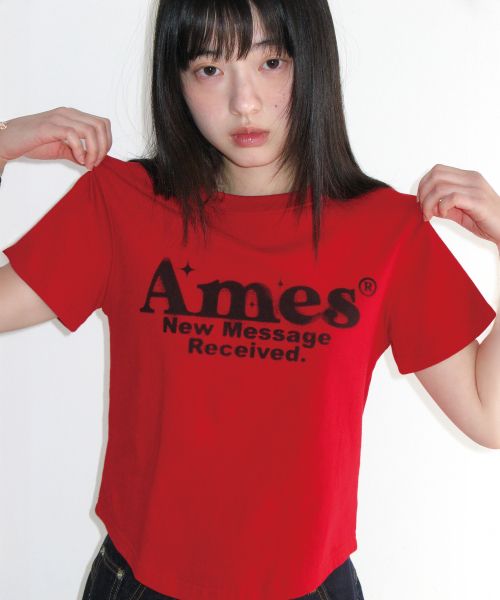 Details for (Women) AMES WORLDWIDE Red Round Hem Crop Tee AM2EMUT520ARE