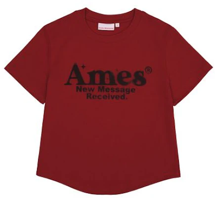 (Women) AMES WORLDWIDE Red Round Hem Crop Tee AM2EMUT520ARE Cheap (Women) AMES WORLDWIDE Red Round Hem Crop Tee AM2EMUT520ARE