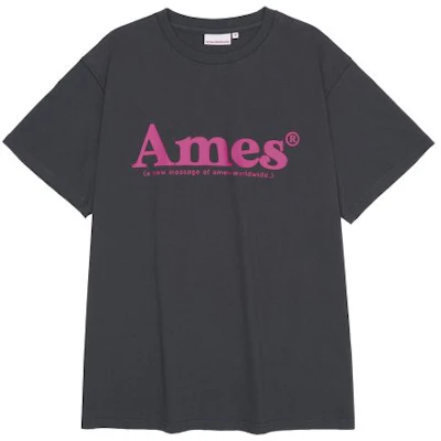 (Women) AMES WORLDWIDE Unisex Basic Logo T-Shirt Charcoal AM2DMUT511ACH 4