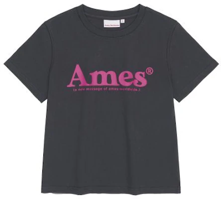 (Women) AMES WORLDWIDE Unisex Basic Logo T-Shirt Charcoal AM2DMUT511ACH 5