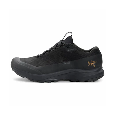 (W) Arc'teryx Aerios FL GTX 2 'Black'