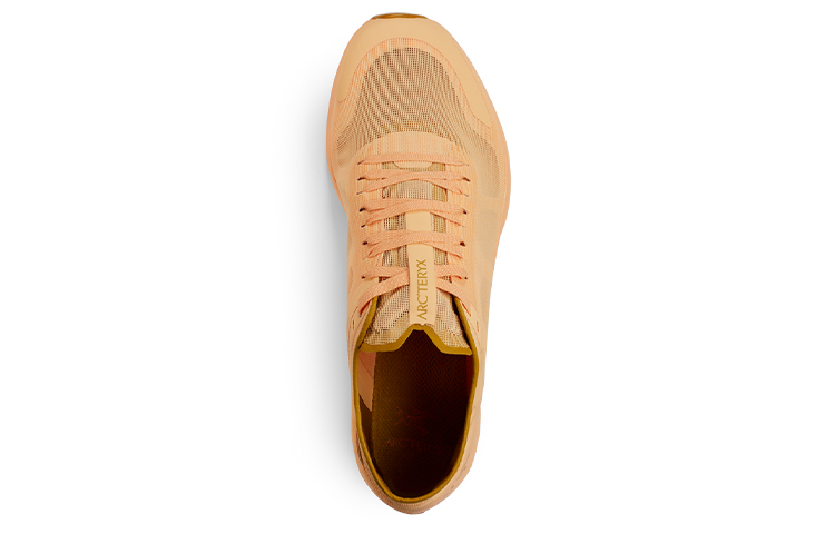 Shop (W) 아크테릭스 노반 SL GTX '핑크' L07485300