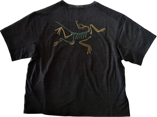 (Women) Arcteryx TAEMA Crop Lightweight Quick-Dry T-Shirt with Colorful Logo. 30732 Order (Women) Arcteryx TAEMA Crop Lightweight Quick-Dry T-Shirt with Colorful Logo. 30732