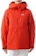 Purchase (Women) Arcteryx Arc'teryx BETA Logo Hooded Long Sleeve Cotton Jacket . X000010512