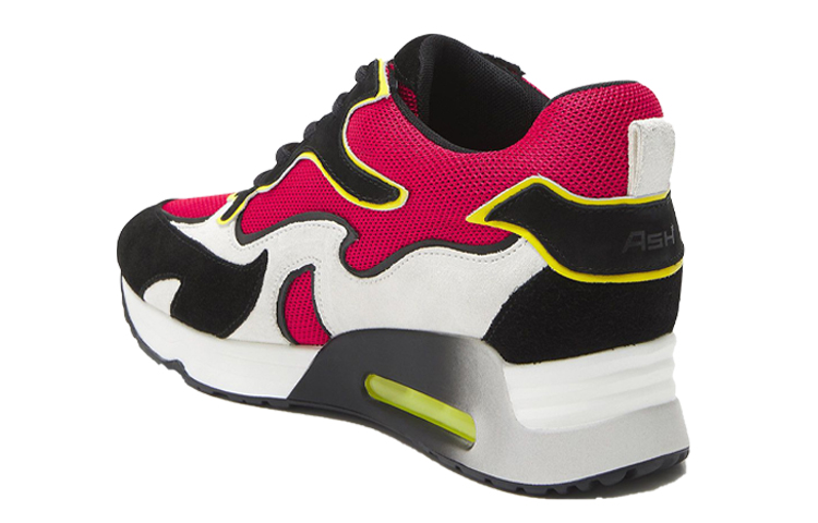 (W) Ash 'Purple' 圖 3