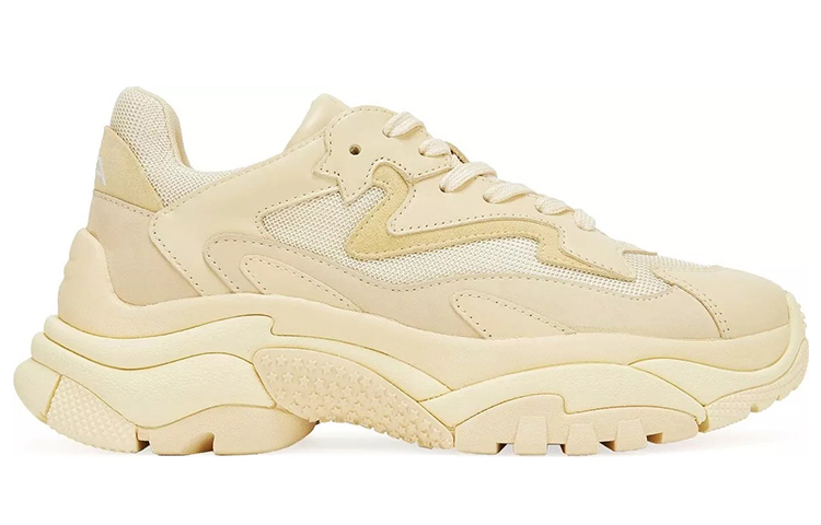 (W) Ash Addict 'Yellow' 圖 2