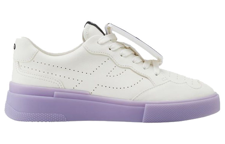 (W) Ash Falcon 'Panda' 圖 2