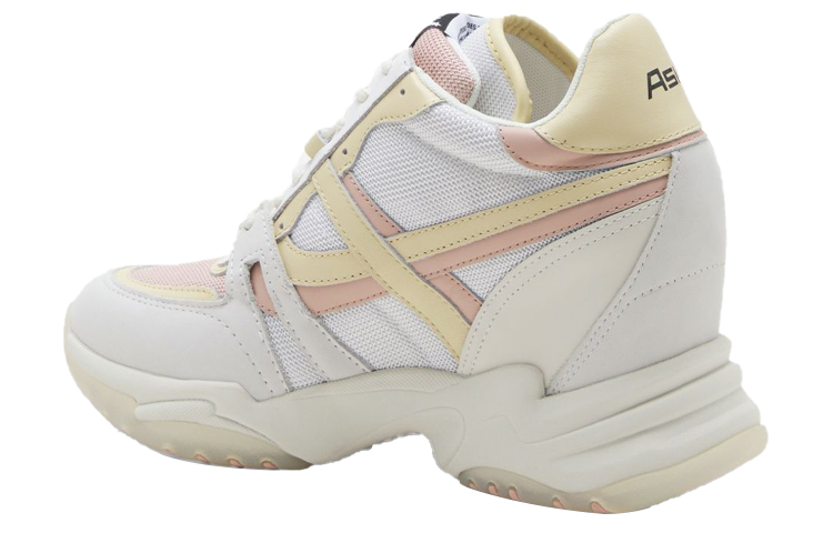 (W) Ash Intense 'White Yellow' 圖 3