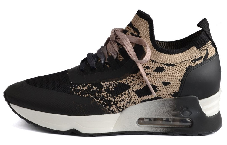 (Women) Ash Loto Trainer 'Black Coffee' FW21-S-135485-001