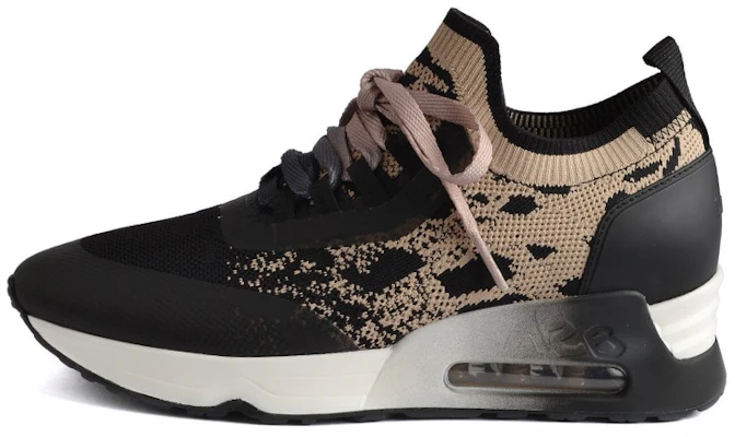 (Women) Ash Loto Trainer 'Black Coffee' FW21-S-135485-001 Buy (Women) Ash Loto Trainer 'Black Coffee' FW21-S-135485-001