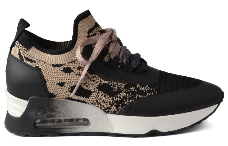 Order (Women) Ash Loto Trainer 'Black Coffee' FW21-S-135485-001