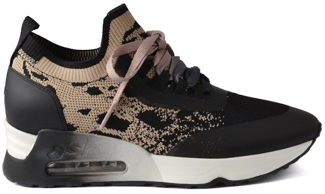 (Women) Ash Loto Trainer 'Black Coffee' FW21-S-135485-001 Order (Women) Ash Loto Trainer 'Black Coffee' FW21-S-135485-001