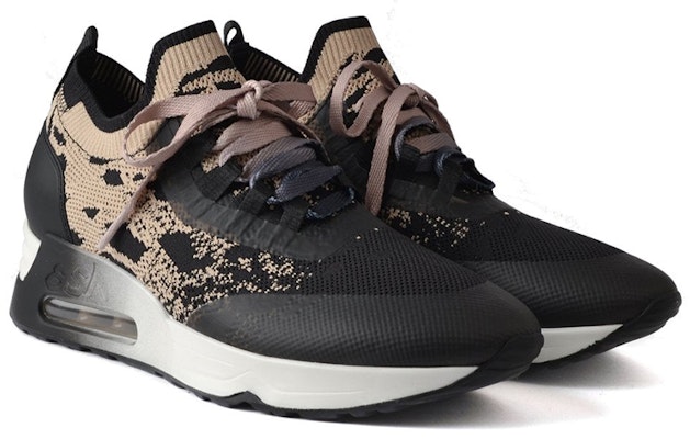 (W) 黑咖啡 Ash Loto 运动鞋 FW21-S-135485-001 Lookbook (W) 黑咖啡 Ash Loto 运动鞋 FW21-S-135485-001