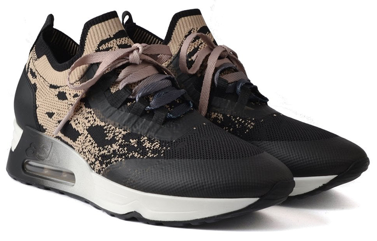 Lookbook (Women) Ash Loto Trainer 'Black Coffee' FW21-S-135485-001