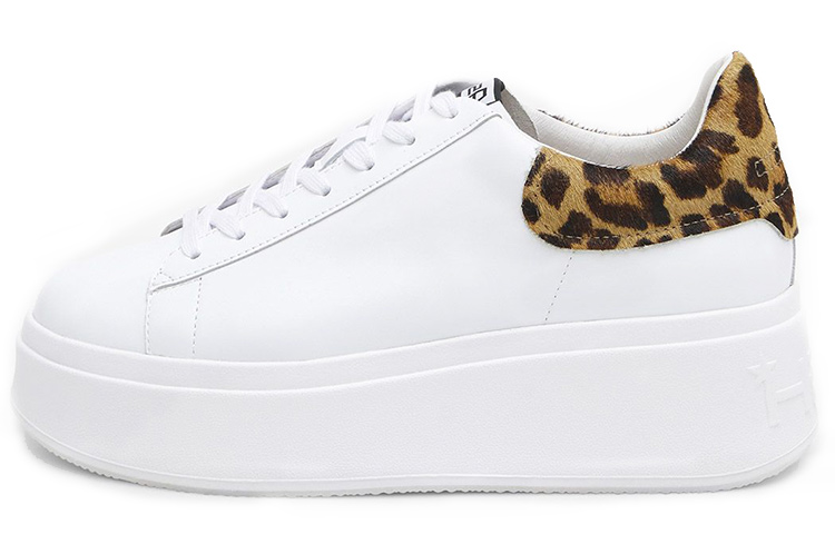 (W) Ash Low Top Leather Sneaker 'White Fashion'