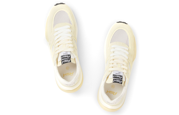 (W) Ash Spider 620 'Double Tongue Yellow' 圖 4