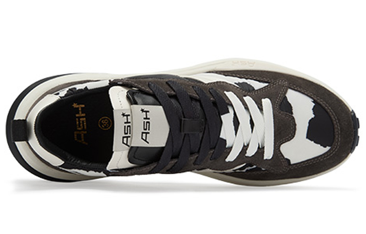 (W) Ash Spider 620 Retro 'Black Color-Block' 圖 3