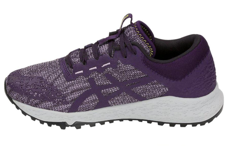 (Women) ASICS Alpine Xt 'Purple' T878N-500