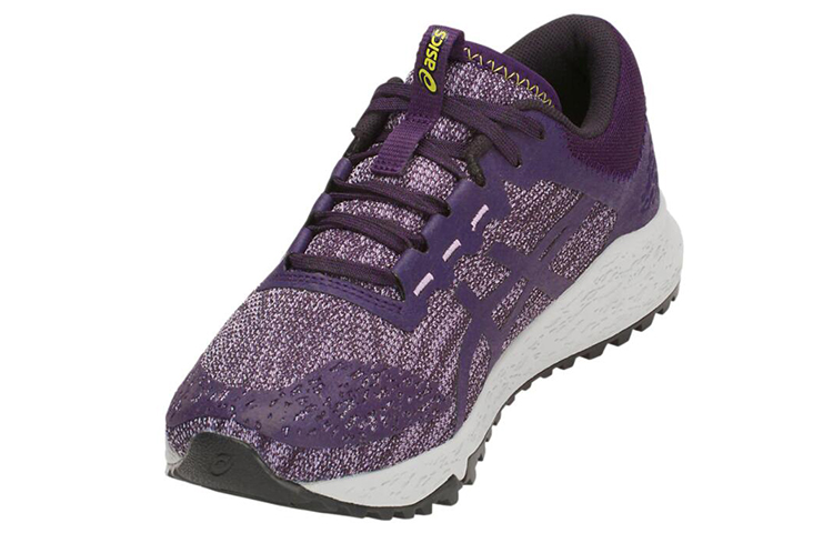 Shop (W) ASICS Alpine Xt ''Viola'' T878N-500