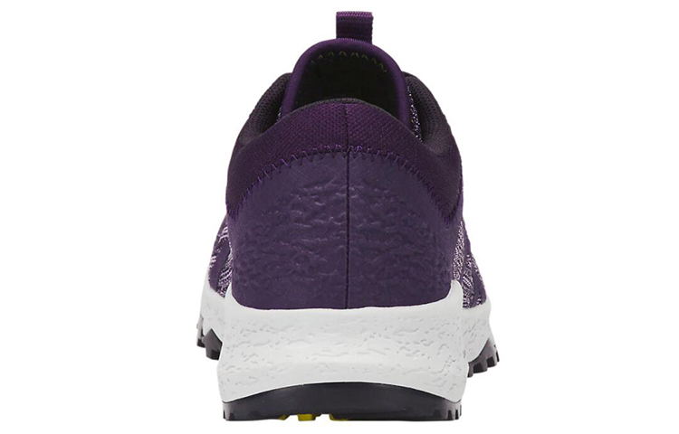 Purchase (W) ASICS Alpine Xt ''Viola'' T878N-500