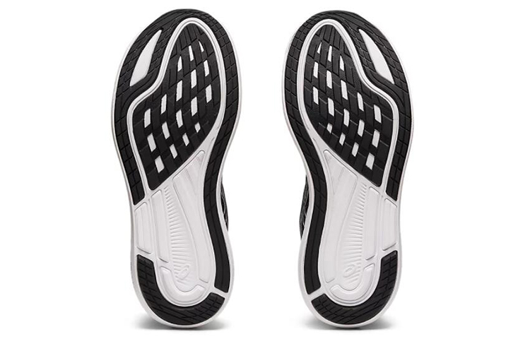 Details for (W) ASICS EvoRide 2 ''Nero Bianco'' 1012A891-001