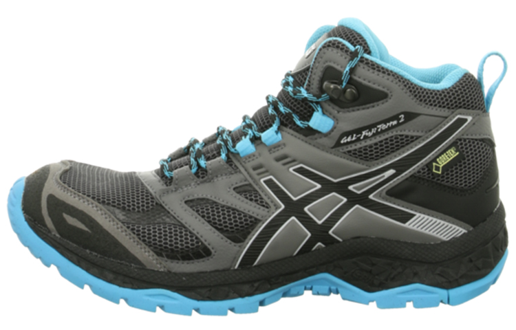 Buy (W) ASICS Gel-Fuji Terra 2 MT Gore-Tex 'Kelabu Biru' T4G8Y-9790