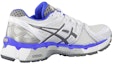 Order (W) ASICS Gel-Kayano 19 'Putih Biru' T350N-0197