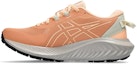 Buy (W) ASICS Gel Excite Trail 2 'Terracotta Birch' Lelarian Jejak 1012B412-600