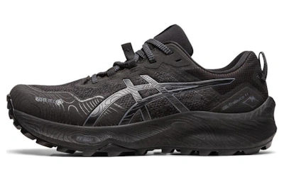 (Women) ASICS Gel Trabuco 11 GORE-TEX ‘Black Carrier Grey’