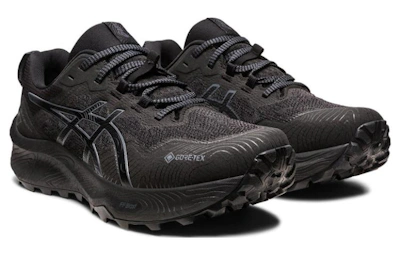 (Women) ASICS Gel Trabuco 11 GORE-TEX ‘Black Carrier Grey’