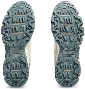 (W) ASICS Gel Venture 6 'Crema Plata' 1202A431-101 Details for (W) ASICS Gel Venture 6 'Crema Plata' 1202A431-101