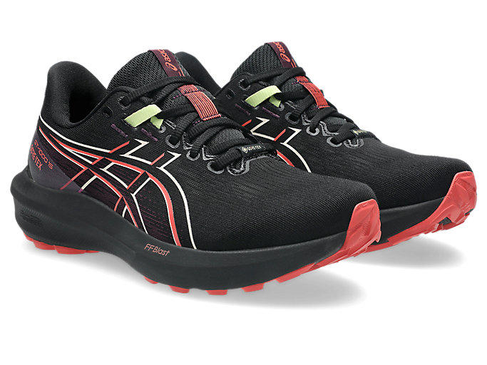 Order (W) ASICS GT-1000 15 GTX 跑鞋 黑色/深紫茄色 1012B996-001